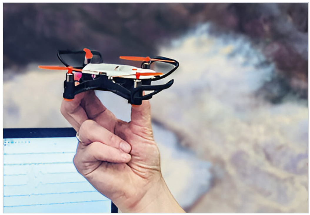 Рис. 8. БПЛА миниатюрных размеров производства Голландии