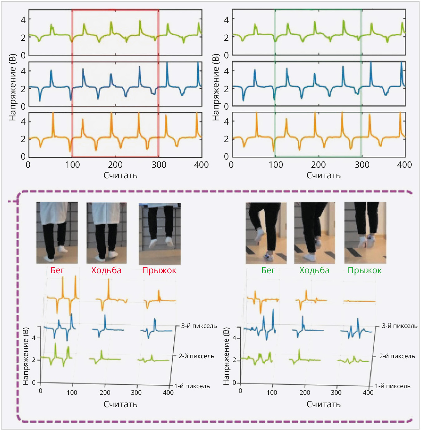 Рис. 17. Иллюстрация изменений состояния датчиков при разных воздействиях стопы на основание