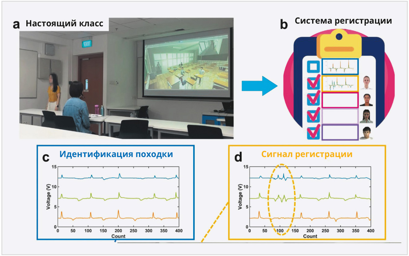 Рис. 19. Иллюстрации системы регистрации и эксперимента идентификации поз и движений с несколькими лицами: a, b – снимок экрана виртуального класса в Unity и демонстрация интерфейса системы регистрации; c – форма сигнала походки мужчины за пределами класса для идентификации походки; d – форма сигнала походки женщины, входящей в класс