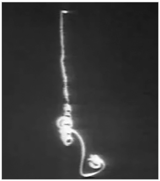 Рис. 3. Аварийный момент обрыва троса с прикреплённым спутником в эксперименте TSS-1R