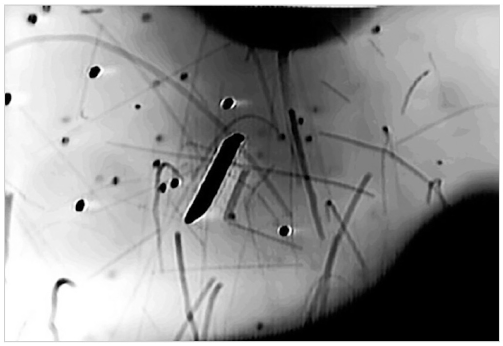 Рис. 5. Результаты компьютерного анализа траекторий полё- та и скоростей, основанные на видеозаписи со спутника STS-75
