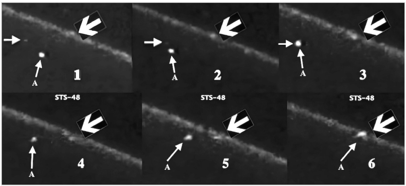 Рис. 7. Некоторые объекты демонстрировали поведение, которое исследователи описали как «охотничье-хищническое поведение» (Hunter-Predatory Behavior)