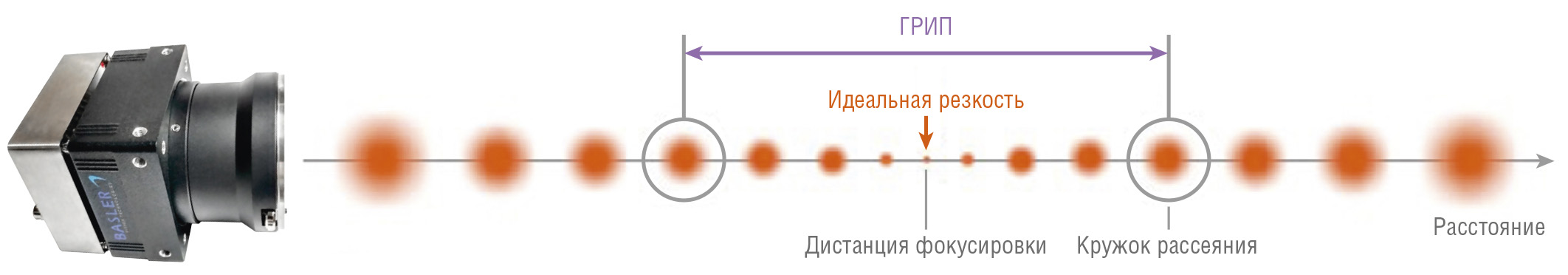 Глубина Резкости В Фотографии