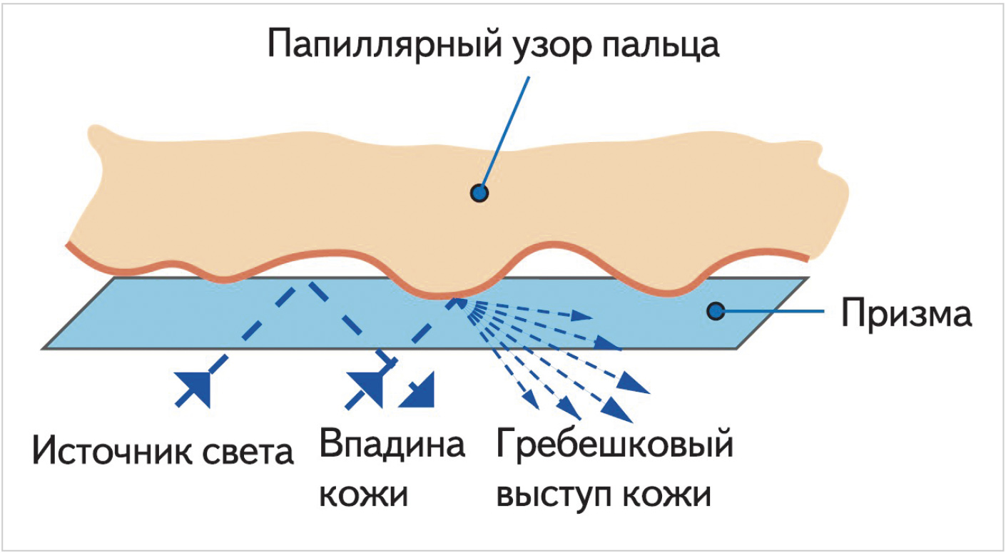 Датчики-сканеры отпечатков пальцев в устройствах биоидентификации. Обзор и  перспективы