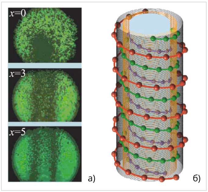 Рис. 2: а) следы микрочастиц, движущихся самоорганизующимся образом, на стенках разрядной камеры в криогенной плазме постоянного тока при T = 2,7 К; б) модель центральной части спиральной структуры криогенной плазмы, основанная на результатах экспериментов