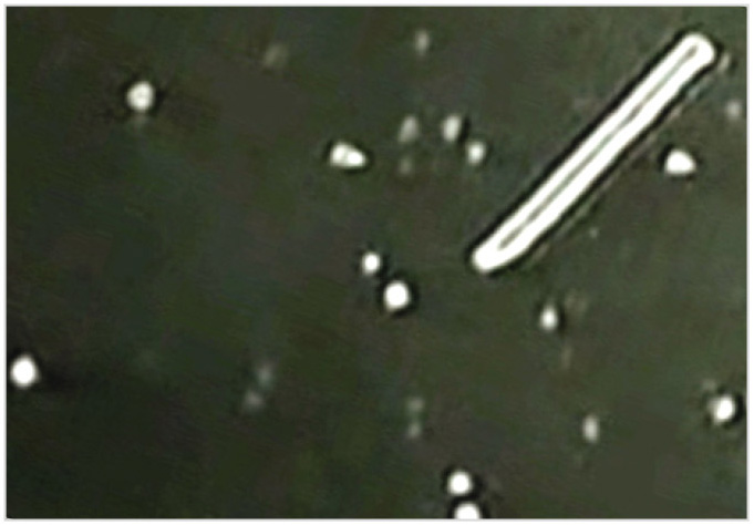 Рис. 8. Оторвавшийся трос со спутником, зафиксированный камерой ночного видения LLTV с низким разрешением